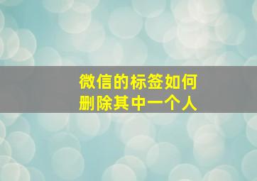 微信的标签如何删除其中一个人