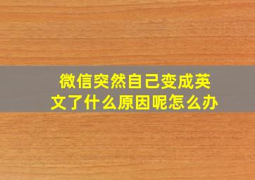 微信突然自己变成英文了什么原因呢怎么办