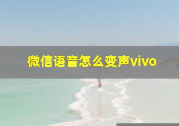 微信语音怎么变声vivo