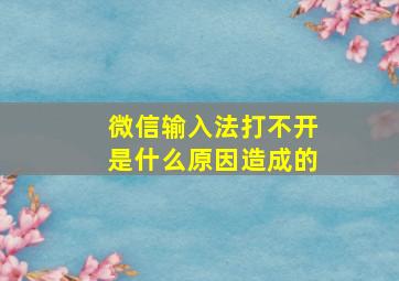 微信输入法打不开是什么原因造成的