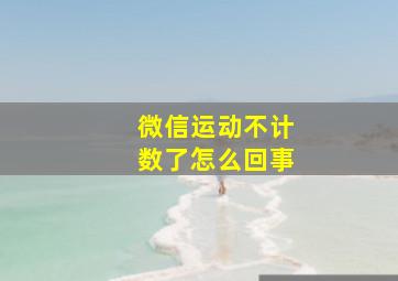 微信运动不计数了怎么回事