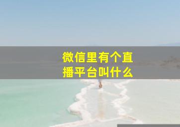 微信里有个直播平台叫什么