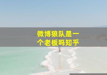 微博狼队是一个老板吗知乎