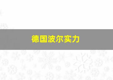 德国波尔实力