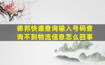 德邦快递查询输入号码查询不到物流信息怎么回事