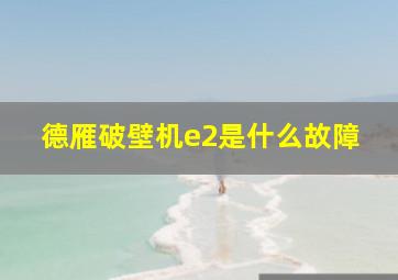 德雁破壁机e2是什么故障