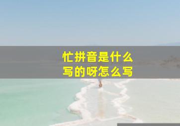 忙拼音是什么写的呀怎么写