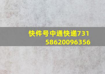 快件号中通快递73158620096356