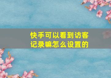 快手可以看到访客记录嘛怎么设置的