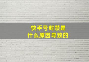 快手号封禁是什么原因导致的