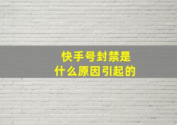 快手号封禁是什么原因引起的