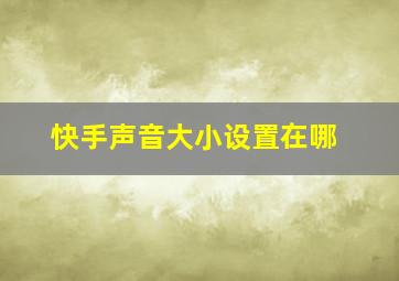 快手声音大小设置在哪