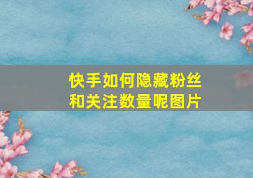 快手如何隐藏粉丝和关注数量呢图片