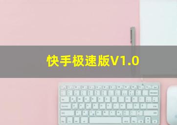 快手极速版V1.0