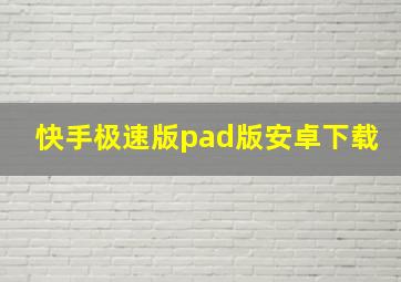 快手极速版pad版安卓下载