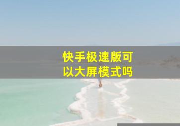 快手极速版可以大屏模式吗