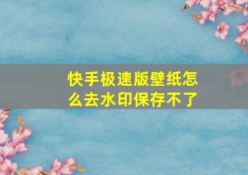 快手极速版壁纸怎么去水印保存不了