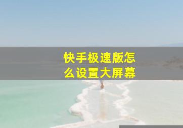 快手极速版怎么设置大屏幕