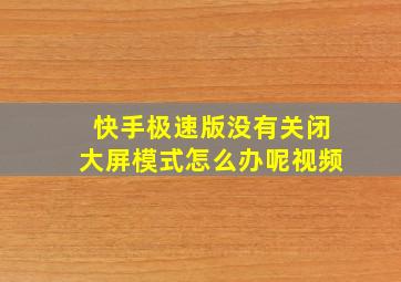 快手极速版没有关闭大屏模式怎么办呢视频