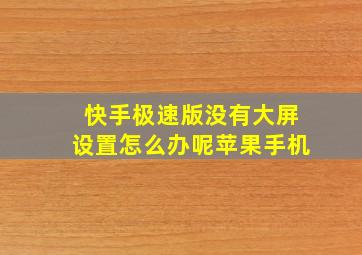 快手极速版没有大屏设置怎么办呢苹果手机