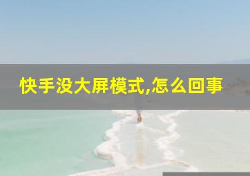 快手没大屏模式,怎么回事