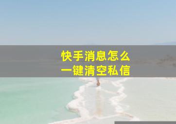 快手消息怎么一键清空私信