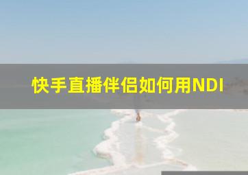 快手直播伴侣如何用NDI