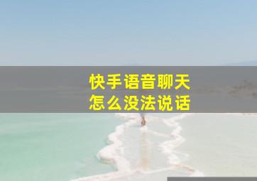 快手语音聊天怎么没法说话