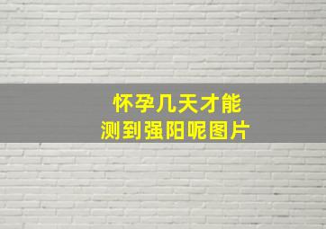 怀孕几天才能测到强阳呢图片