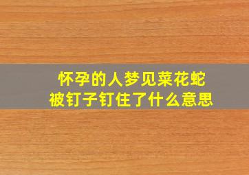 怀孕的人梦见菜花蛇被钉子钉住了什么意思