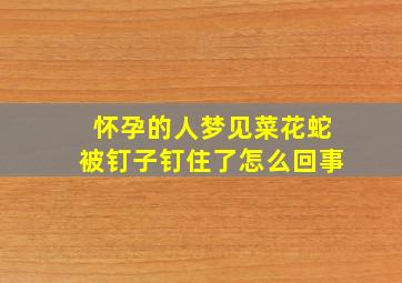 怀孕的人梦见菜花蛇被钉子钉住了怎么回事