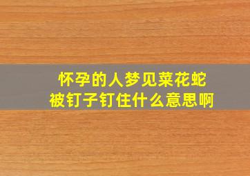 怀孕的人梦见菜花蛇被钉子钉住什么意思啊