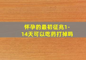 怀孕的最初征兆1-14天可以吃药打掉吗