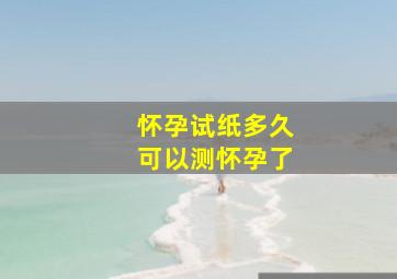 怀孕试纸多久可以测怀孕了