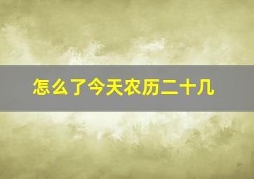 怎么了今天农历二十几