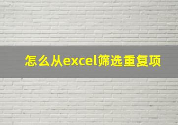 怎么从excel筛选重复项