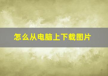 怎么从电脑上下载图片