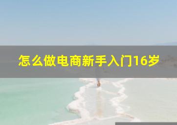 怎么做电商新手入门16岁