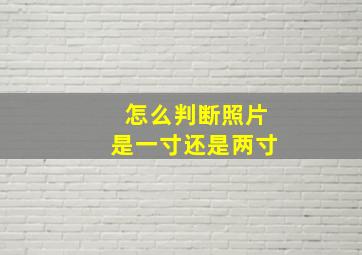 怎么判断照片是一寸还是两寸