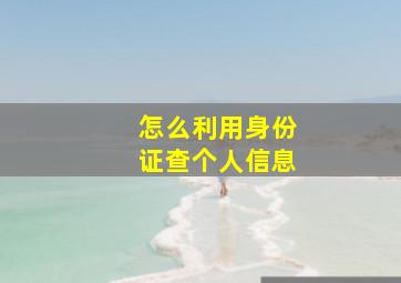 怎么利用身份证查个人信息