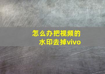 怎么办把视频的水印去掉vivo