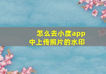 怎么去小度app中上传照片的水印