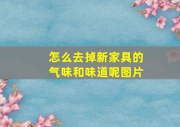 怎么去掉新家具的气味和味道呢图片