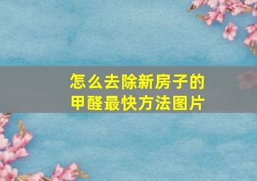 怎么去除新房子的甲醛最快方法图片