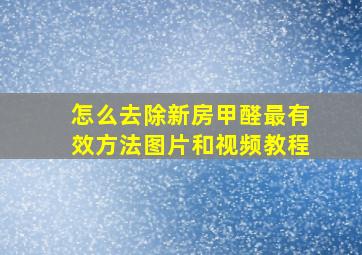 怎么去除新房甲醛最有效方法图片和视频教程