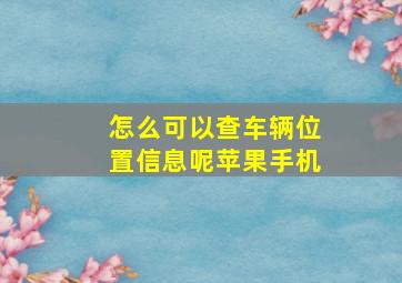 怎么可以查车辆位置信息呢苹果手机