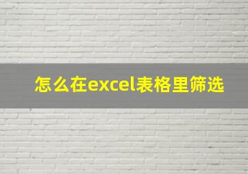 怎么在excel表格里筛选