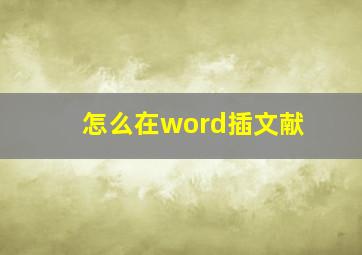 怎么在word插文献