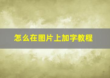 怎么在图片上加字教程