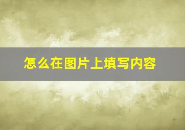 怎么在图片上填写内容